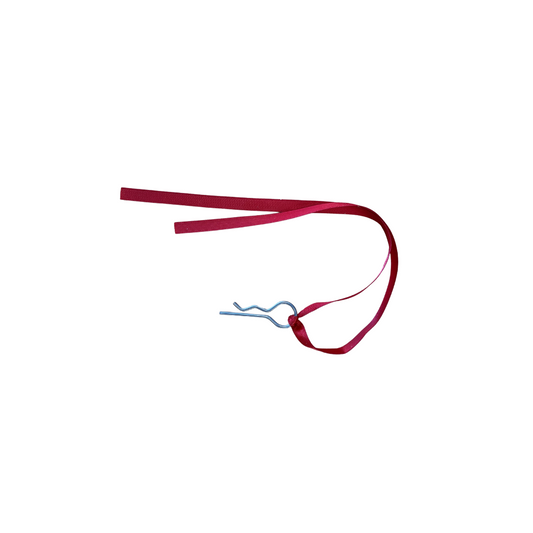 GIS Safety Pin Assembly